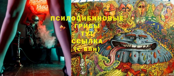 a pvp Алзамай